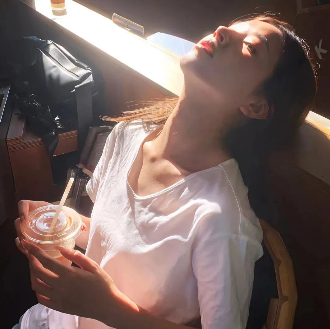 蔷薇处处开
